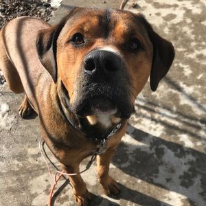 Meet your Posher, Allie